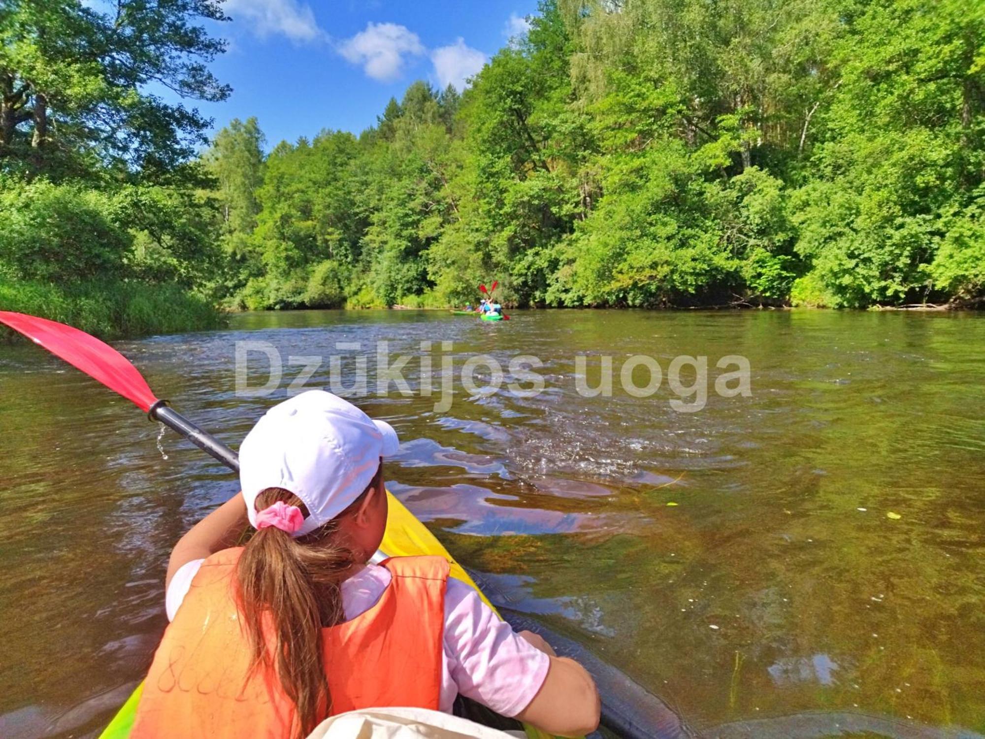 Dzukijos Uoga Guest House Virsurodukis Bagian luar foto